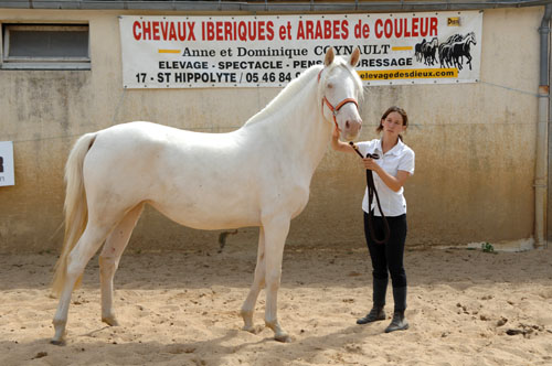 Photo de profil de sarah17620