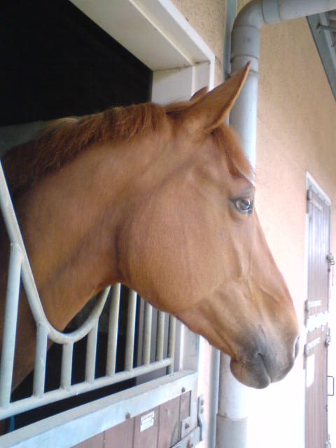 Photo de profil de shbh