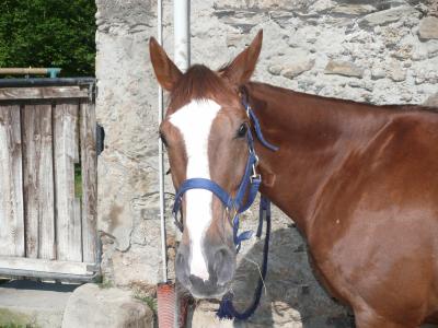 Photo de profil de silver6