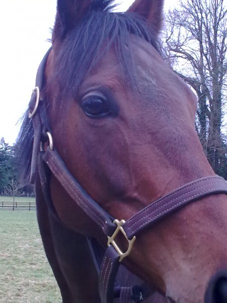 Photo de profil de stessmiss