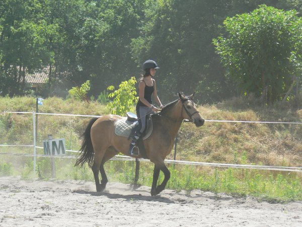 Photo de profil de syl15