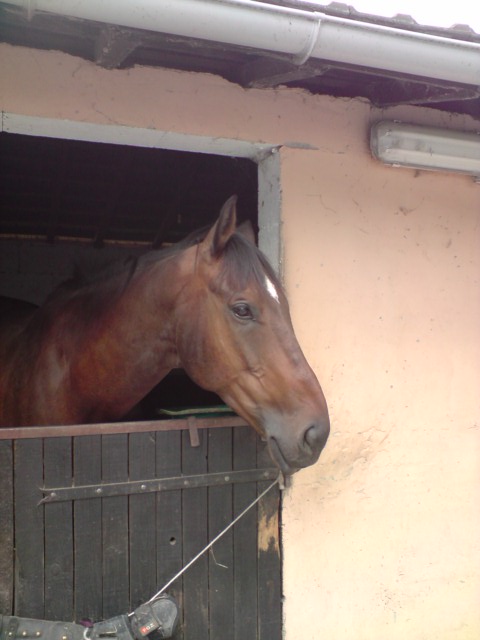 Photo de profil de t.lassalle