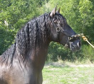 Photo de profil de talaron1