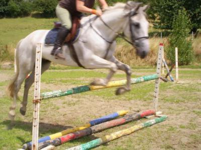 Photo de profil de theo06