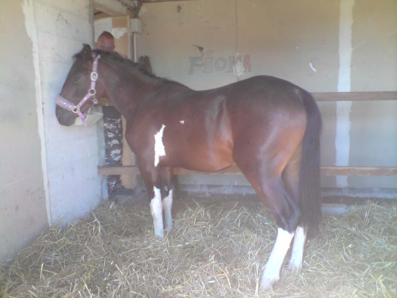 Photo de profil de ulvano