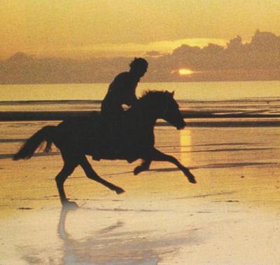 Photo de profil de ushuia38