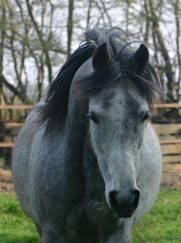 Photo de profil de vanessa.sam