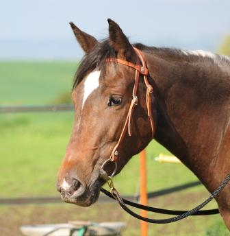 Photo de profil de vdoyen