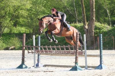 Photo de profil de verena