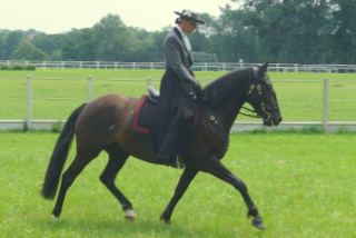 Photo de profil de veroerbeo