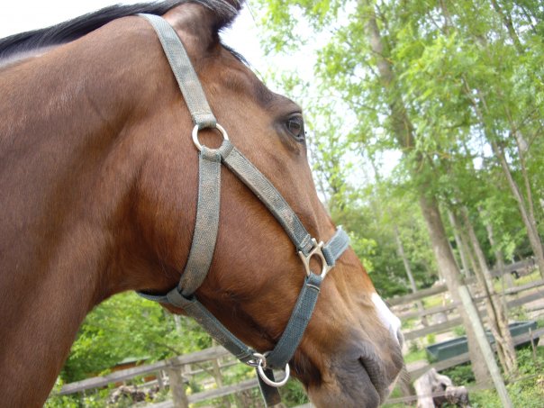 Photo de profil de vivinou1105