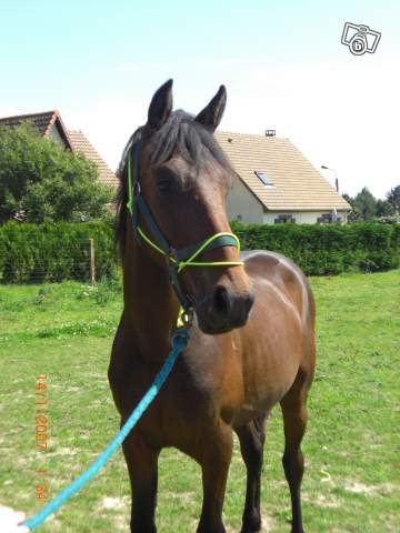 Photo de profil de x-mlle-nelly-x