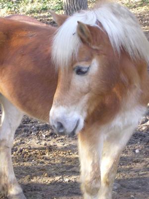 Photo de profil de x-mooni3-x