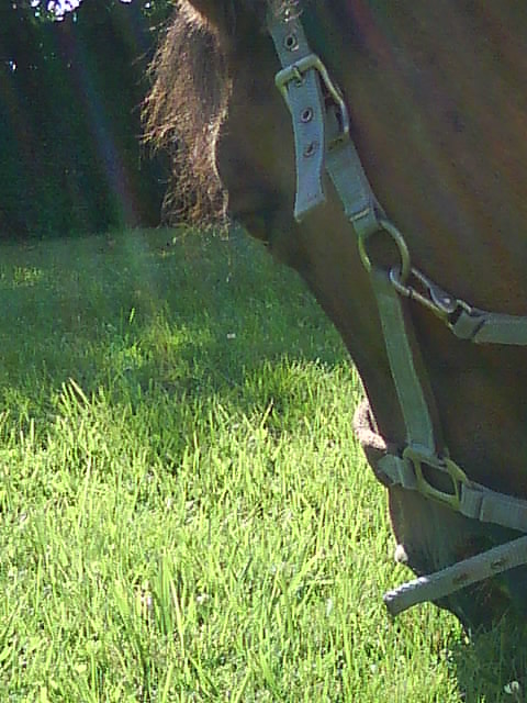 Photo de profil de x3-oceane-x3