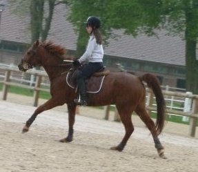 Photo de profil de x3.lo