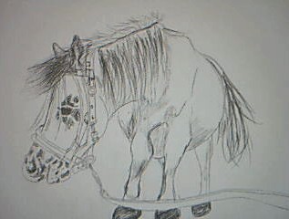 Photo de profil de xkiim3