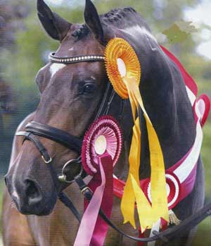 Photo de profil de 2214