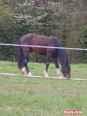 Photo de profil de adi2dias