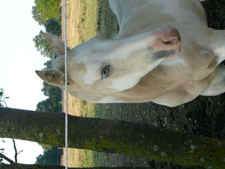 Photo de profil de alaska44