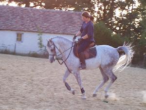 Photo de profil de alfu