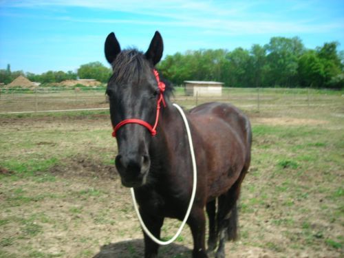 Photo de profil de aliciou31