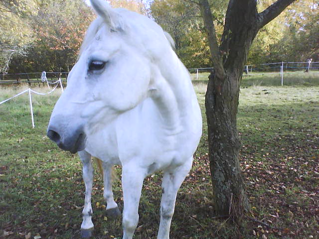 Photo de profil de angele55