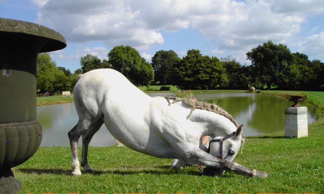 Photo de profil de auroredeloise