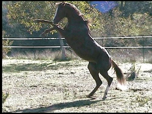 Photo de profil de btp13