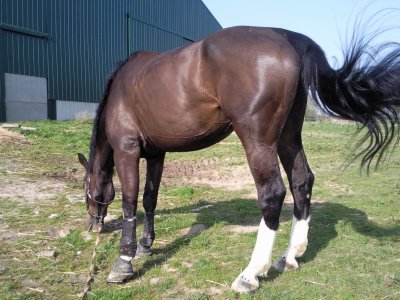 Photo de profil de capu59160