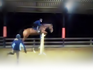 Photo de profil de castor1