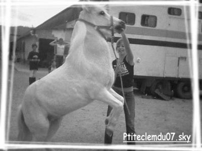 Photo de profil de cavalgirl