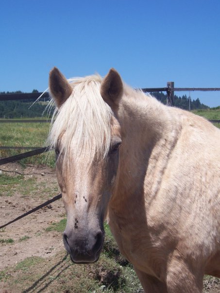 Photo de profil de clo19clo