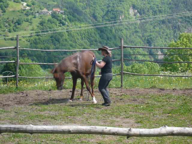 Photo de profil de cowgirl123