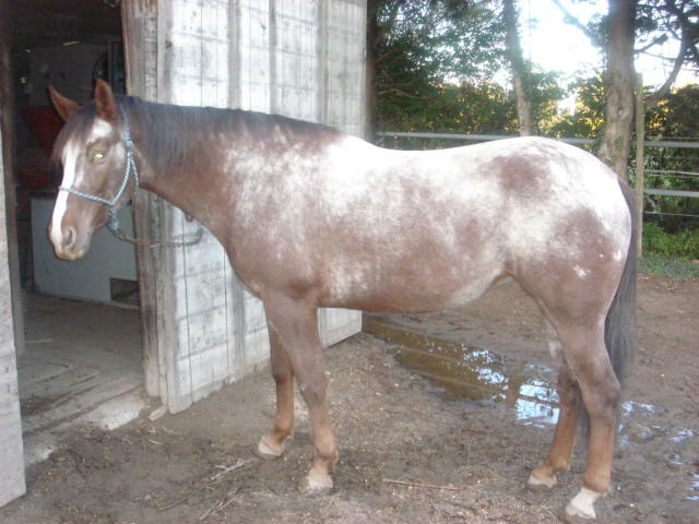 Photo de profil de dudule