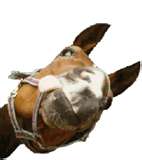 Photo de profil de equishare