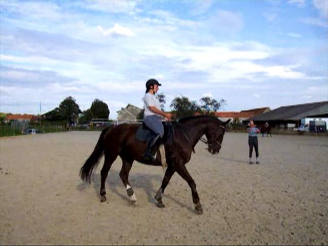 Photo de profil de fanyhelios