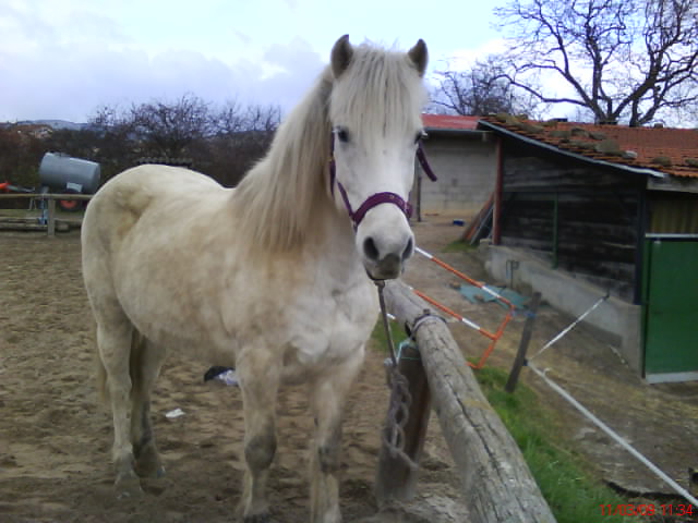 Photo de profil de flicka42