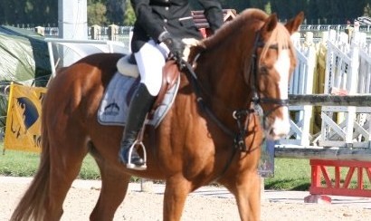 Photo de profil de gaillardb