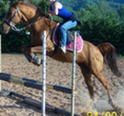 Photo de profil de guy34