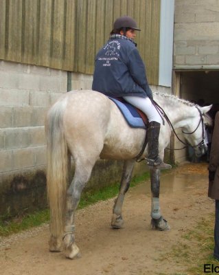 Photo de profil de horse10