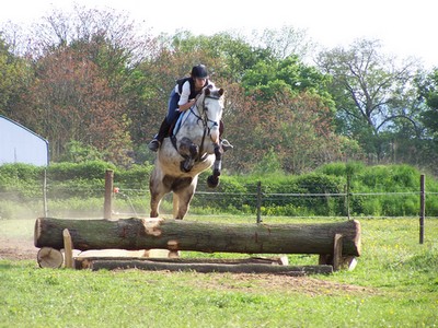 Photo de profil de iris