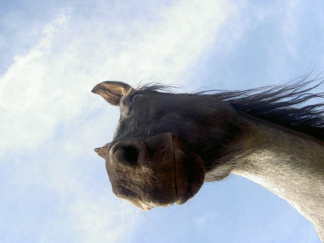 Photo de profil de kindersurprise