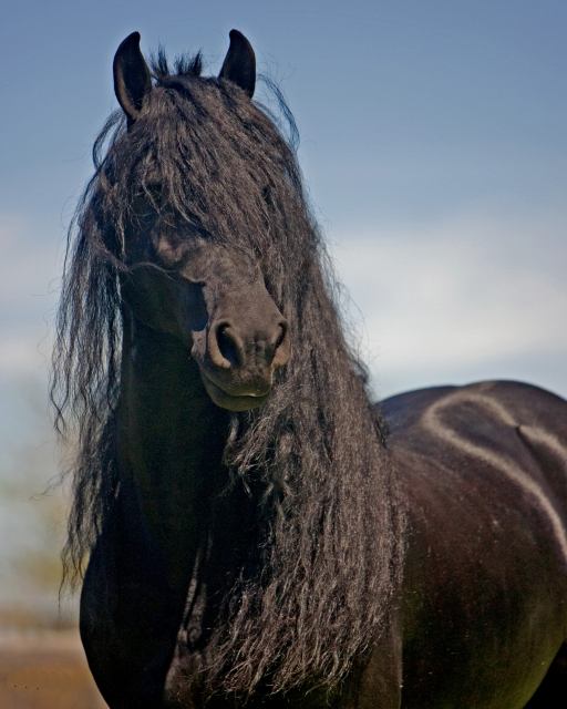 Photo de profil de ladybelle