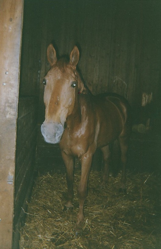 Photo de profil de ladylo57