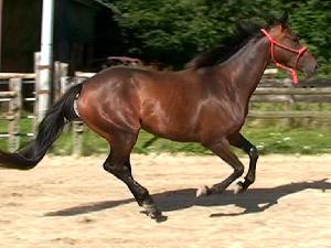 Photo de profil de liiby