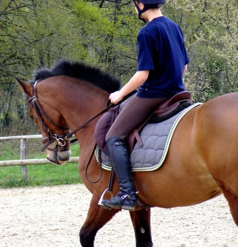 Photo de profil de lise.richard