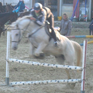 Photo de profil de littlehorse