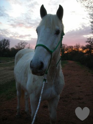 Photo de profil de loulou31120