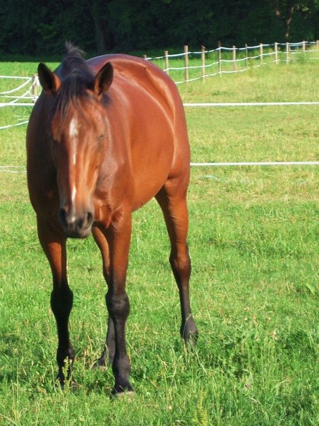 Photo de profil de marine-38