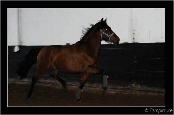 Photo de profil de mc-karay